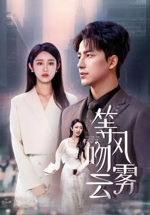 长街灯火热播电视剧全集免费观看